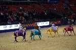 Quadrille - 00591